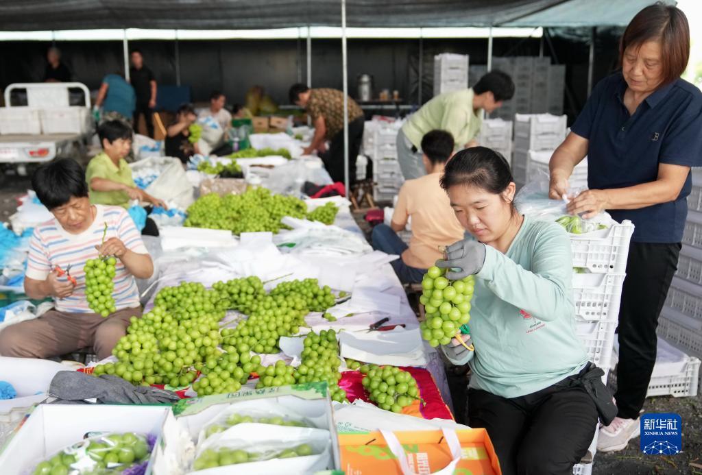 串子两场赢一半